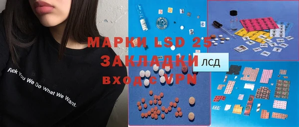 метадон Богданович