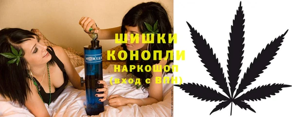 гидропоника Богородицк