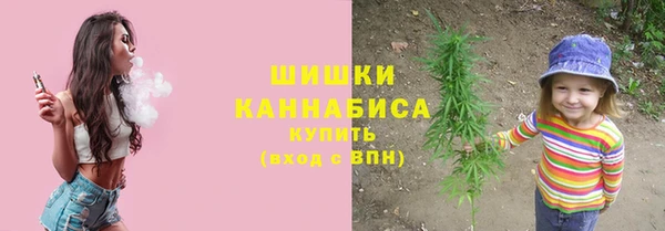 метадон Богданович