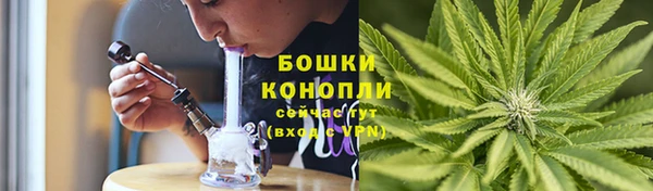 метадон Богданович