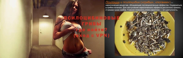 a pvp Новокубанск
