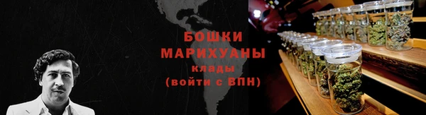 дурь Новодвинск