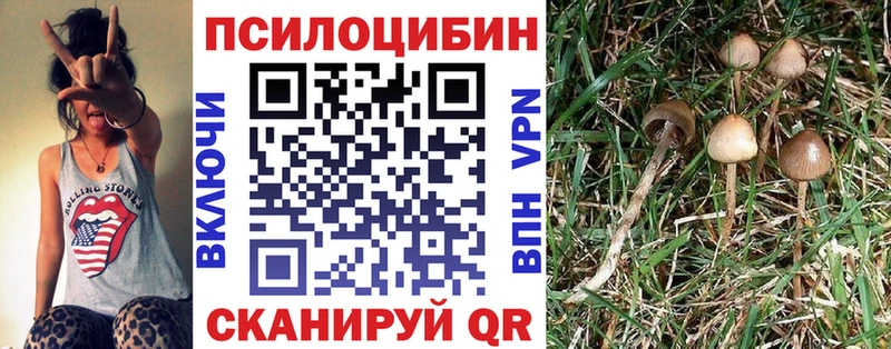hydra зеркало сколько стоит Кириши даркнет формула Галлюциногенные грибы ЛСД