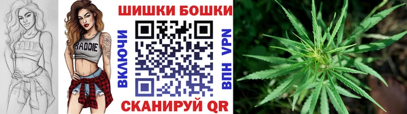 хочу наркоту Кириши Канабис SATIVA & INDICA